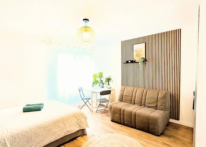 Le Grand'rue Apartmán Štrasburk