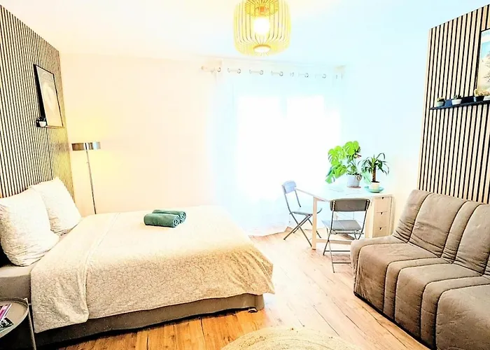 Le Grand'rue Apartmán Štrasburk