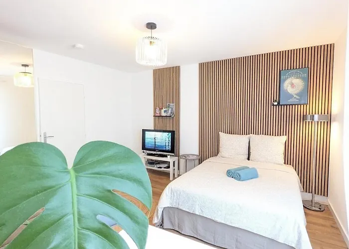 Le Grand'rue Apartmán Štrasburk