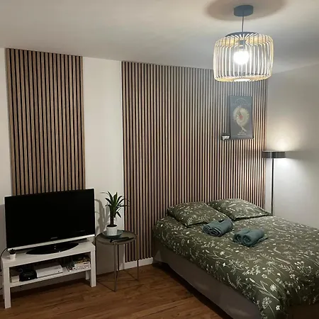Apartment Le Grand'rue Straßburg